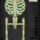 Illustration for article titled What if spaceships had skeletons inside?